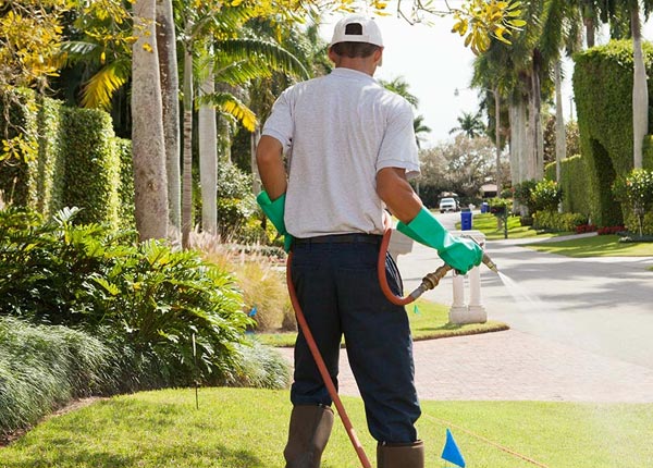 About New Canton VA Pest Control